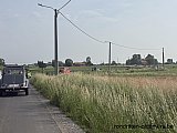 Zandlemig Vlaanderen